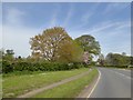 Trees on the edge of Hanley Castle by B4211