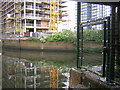 TQ3883 : Waterworks River from under Blaker Road bridge by Christopher Hilton