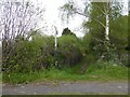 Footpath to west bank of River Severn