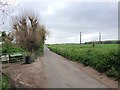 Cryalls Lane, near Borden