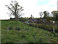 Church Lane, Barham