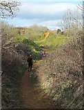 ST4716 : Path, Ham Hill Country Park by Derek Harper