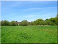 Abbey Road Open Space, Steyning