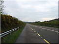 W1779 : The N22 heading for Macroom by David Purchase