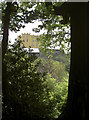 Dower House through the trees