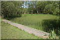 Small pond, Eglinton Country Park