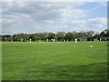 Cricket match at Whatton in the Vale