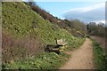 Path on Ham Hill