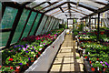 Hintons Nursery and Plant Centre