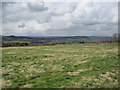 Farmland and View across the Tyne Valley