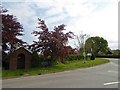 Bus shelter and telephone box at South Cockerington