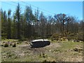 NS2984 : Glennan Burn cup-marked stone by Lairich Rig