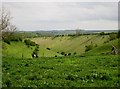 SE9062 : Into  Hasley  Dale  from  Towthorpe  Fields by Martin Dawes