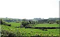 Pasture land and forest plantations