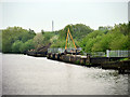 SJ6487 : Manchester Ship Canal, Dredging Jetty near Thelwall by David Dixon