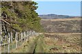 NC7409 : Footpath next to Plantation on Cnoc Fhionniaidh by Andrew Tryon