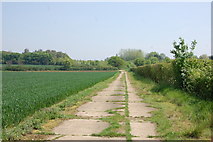 TL9118 : Farm track and public footpath by Trevor Harris