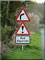 Rare road sign