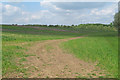 Farm track in arable land, near Lower Houses, Bulmer