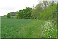 Footpath on arable field margin, Little Cornard