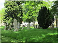 The churchyard at Orston