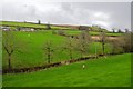 A small south Devon stream valley