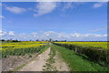 Footpath leading from Kirton Drove to North Forty Foot Bank