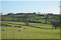 View across East Beck to Banks Farm