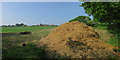 Straw pile by Moor Lane