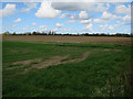 TF9914 : Field by Swanton Road by Hugh Venables