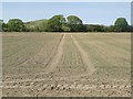 Arable field in Cramlington