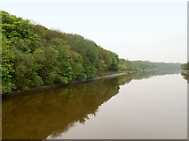 SJ3879 : Manchester Ship Canal, South Bank between Ellesmere Port and Eastham by David Dixon