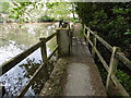 Path across the pond at the National Cat Centre