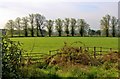 Pasture at Barochan