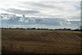 Farmland by the West Coast Main Line