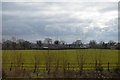 Farmland, Hodge Lane Farm