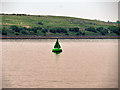 SJ3584 : Green Navigation Buoy in the Mersey Estuary by David Dixon