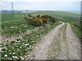 SY6386 : Track on Corton Down by Philip Halling