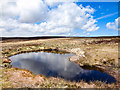 SE9098 : Small Ponds, High Moor by Scott Robinson