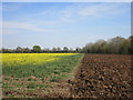 Partly Ploughed