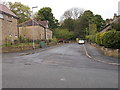 Hall Cross Grove - Hall Cross Road