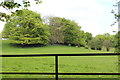 Pasture near Cefn-coch