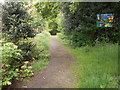 Longley Woods Nature Reserve - viewed from Squirrel Ditch