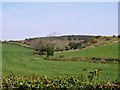 Pasture land at Drumanakelly