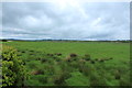 Farmland near Lugtonridge