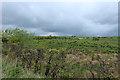 Farmland at Gree