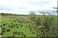 Farmland near Over Gree