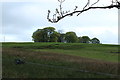 Farmland and Woodland at Whitehouse