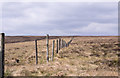 NY8842 : Fence line above Middlehope Head by Trevor Littlewood