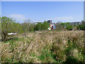 Site of Ravenscraig railway station